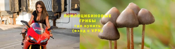 наркотики Алексин