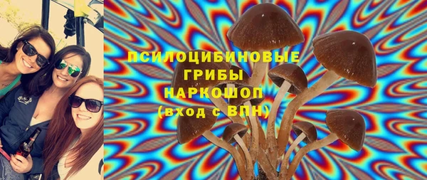 ECSTASY Алексеевка