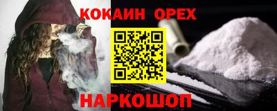 шишки Лесосибирск