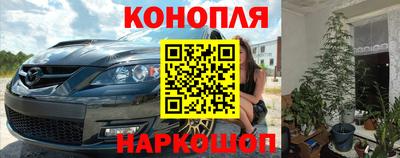 шишки Лесосибирск