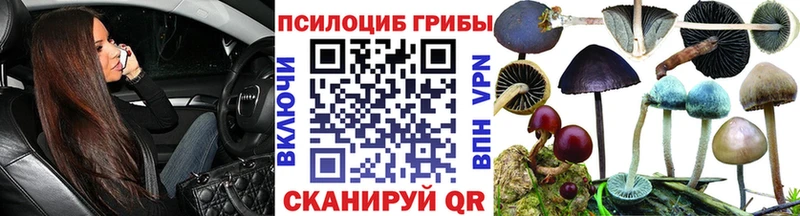 Псилоцибиновые грибы ЛСД  Геленджик 
