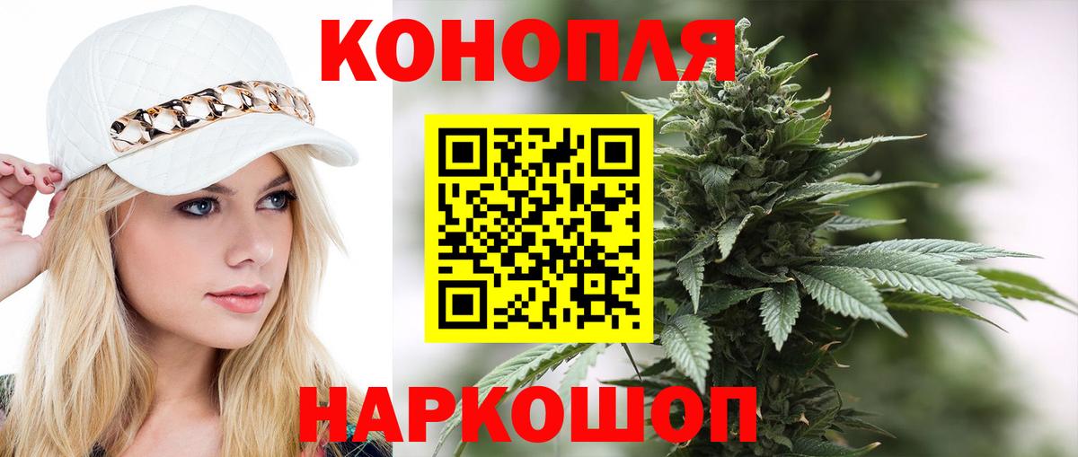 Каннабис сатива Геленджик